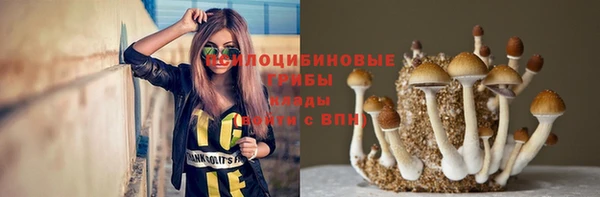 mix Абаза